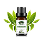 10Ml Essential Oil Fruit Flavor Natural Plant Making Diffuser
