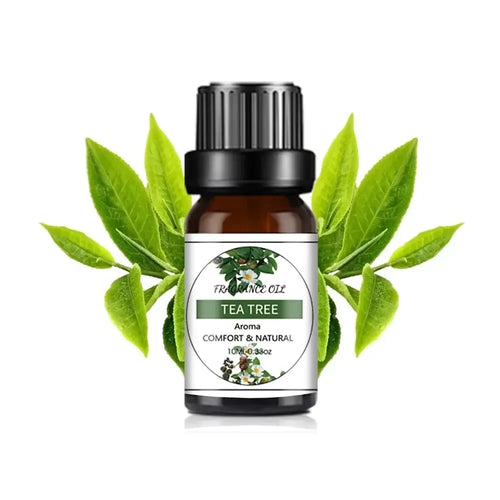 10Ml Essential Oil Fruit Flavor Natural Plant Making Diffuser
